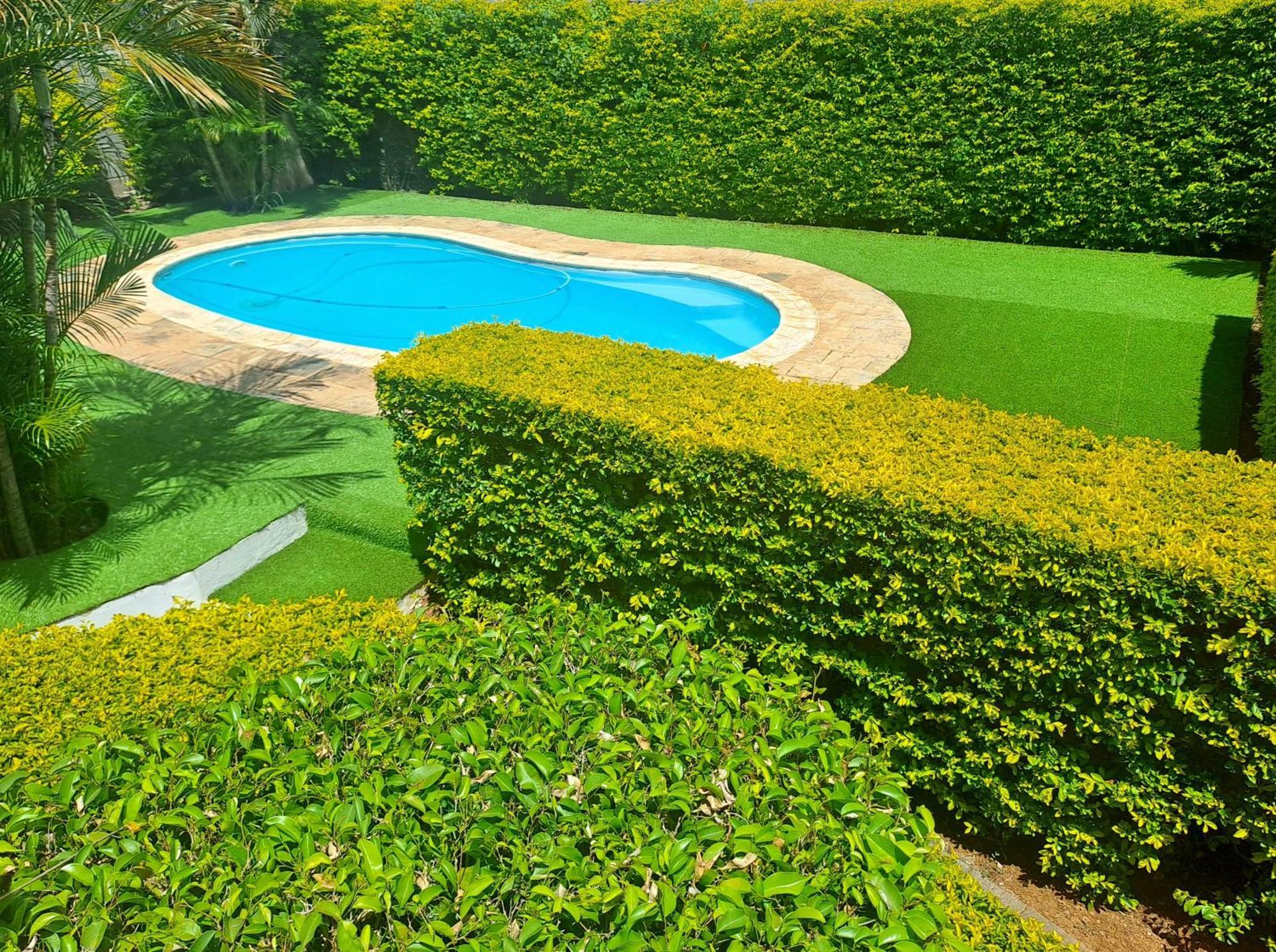 Appartement Paisible Avec Jardin & Piscine Albion Dış mekan fotoğraf